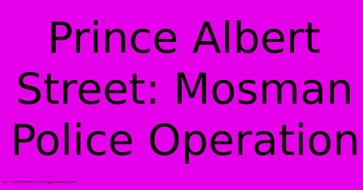 Prince Albert Street: Mosman Police Operation