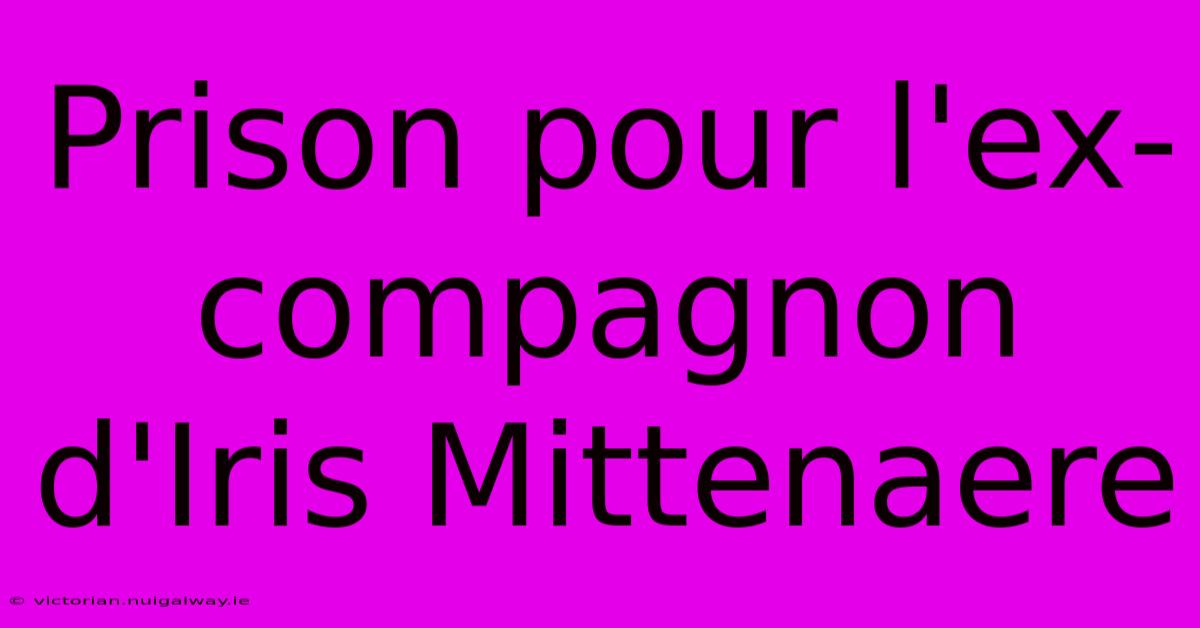 Prison Pour L'ex-compagnon D'Iris Mittenaere