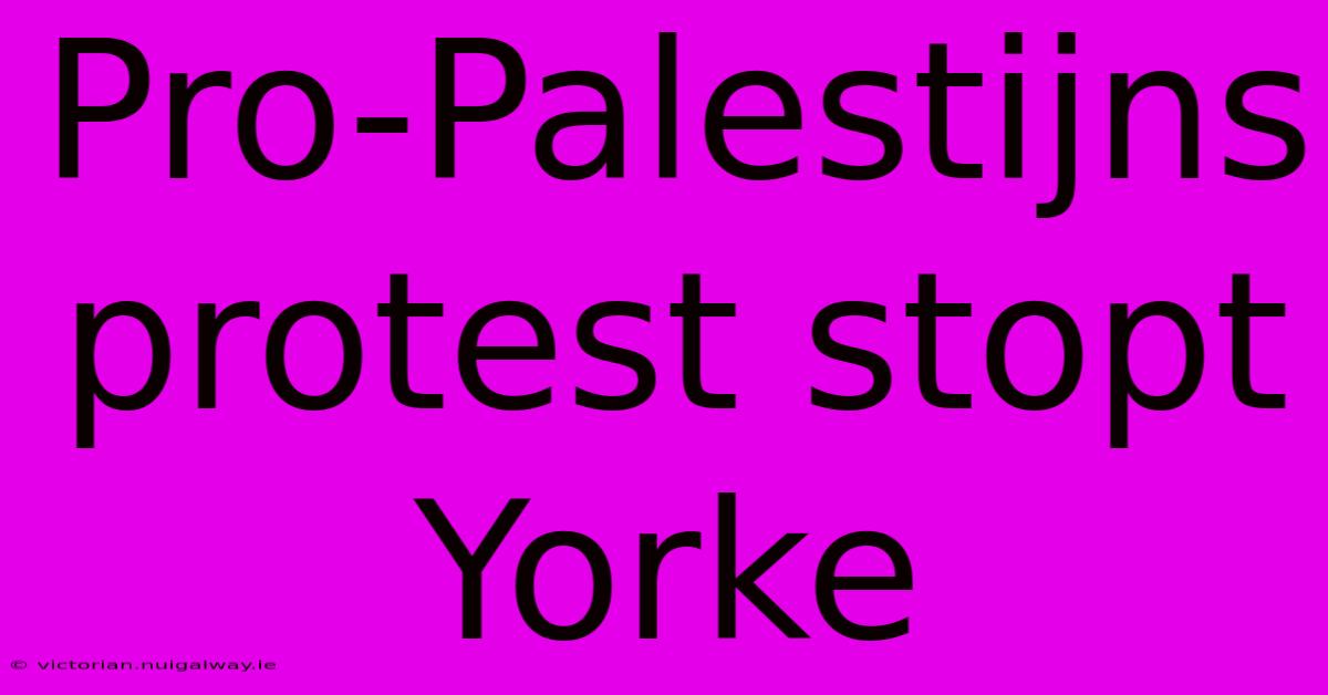 Pro-Palestijns Protest Stopt Yorke 