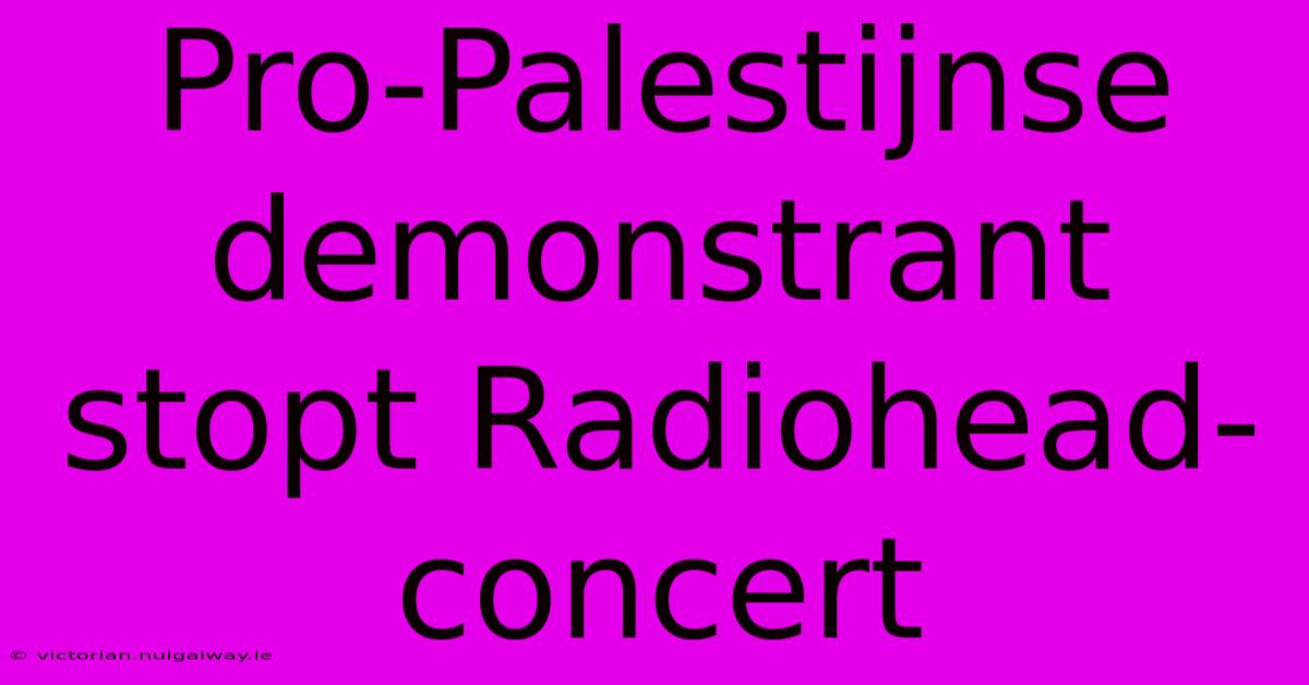 Pro-Palestijnse Demonstrant Stopt Radiohead-concert