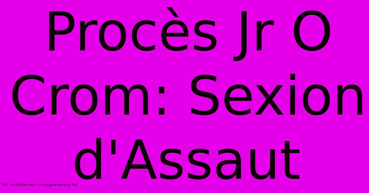 Procès Jr O Crom: Sexion D'Assaut