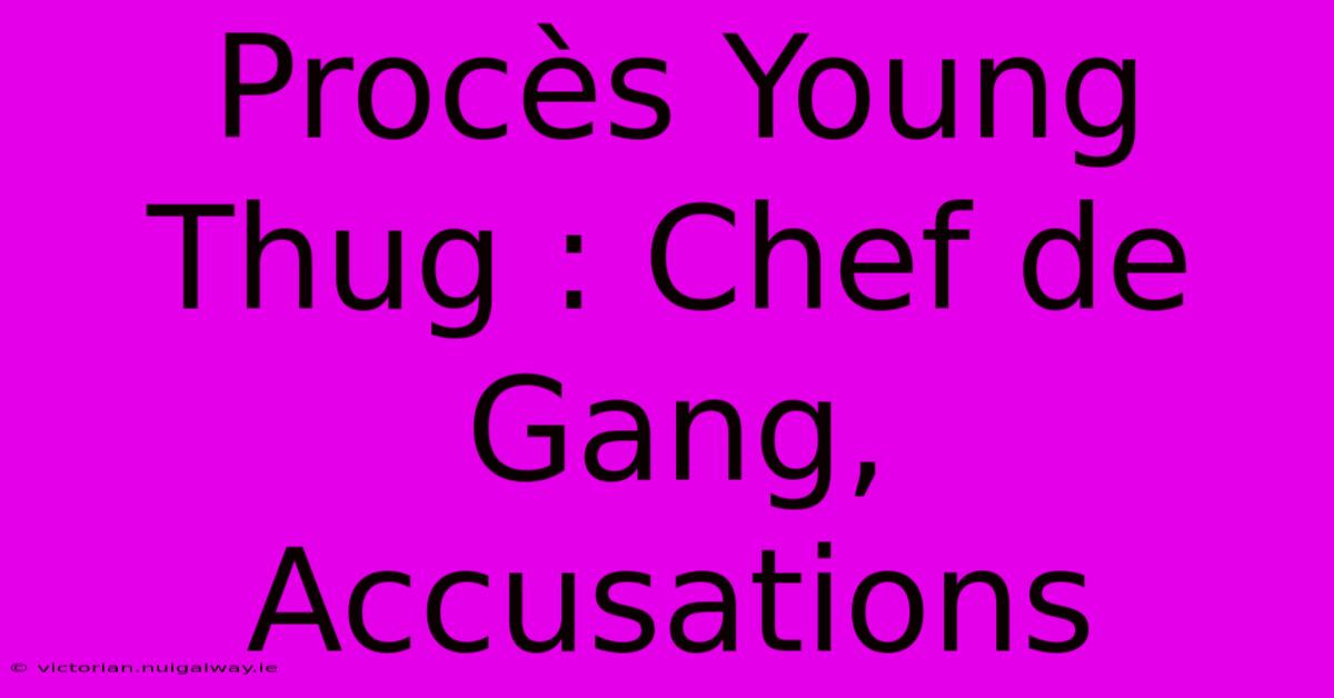 Procès Young Thug : Chef De Gang, Accusations 