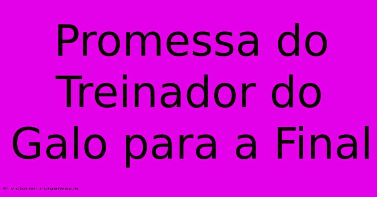 Promessa Do Treinador Do Galo Para A Final