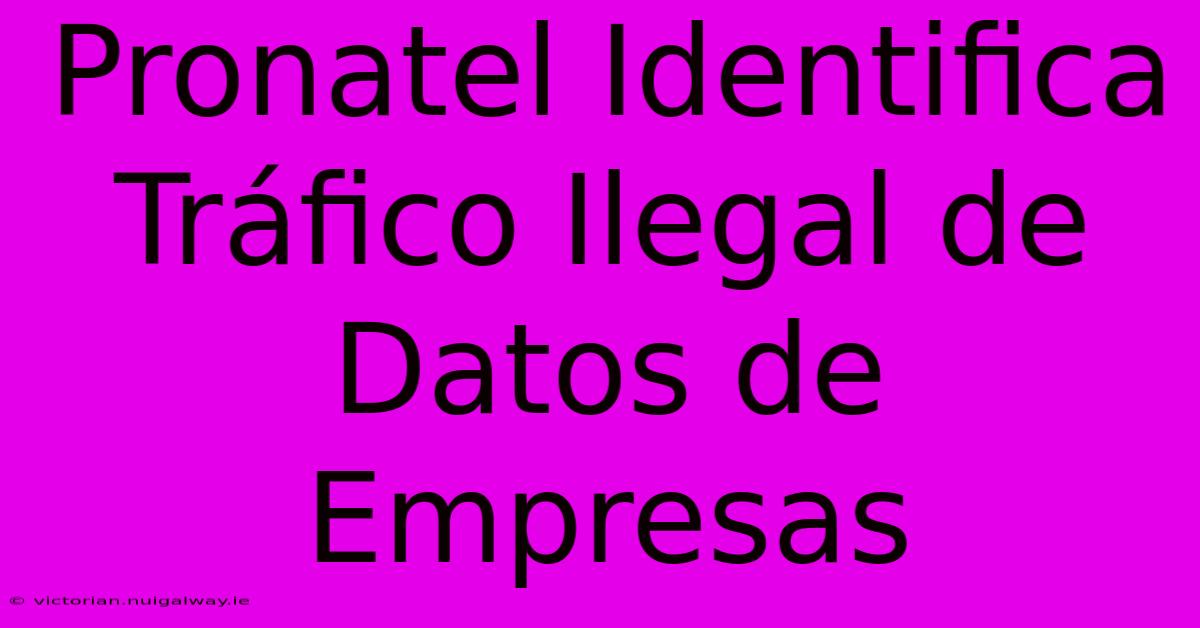 Pronatel Identifica Tráfico Ilegal De Datos De Empresas 