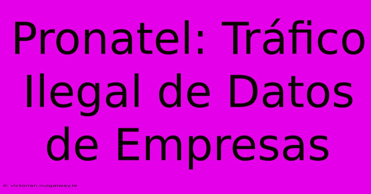 Pronatel: Tráfico Ilegal De Datos De Empresas