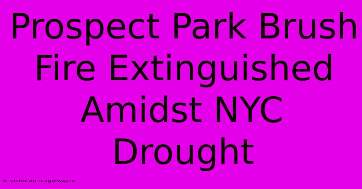 Prospect Park Brush Fire Extinguished Amidst NYC Drought