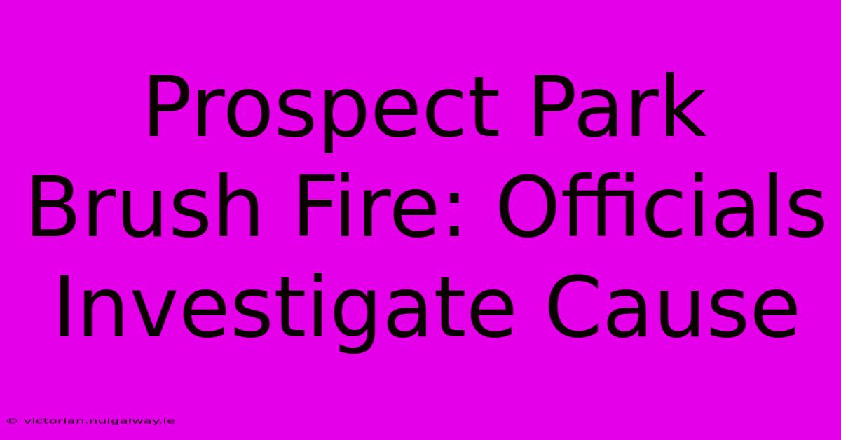 Prospect Park Brush Fire: Officials Investigate Cause