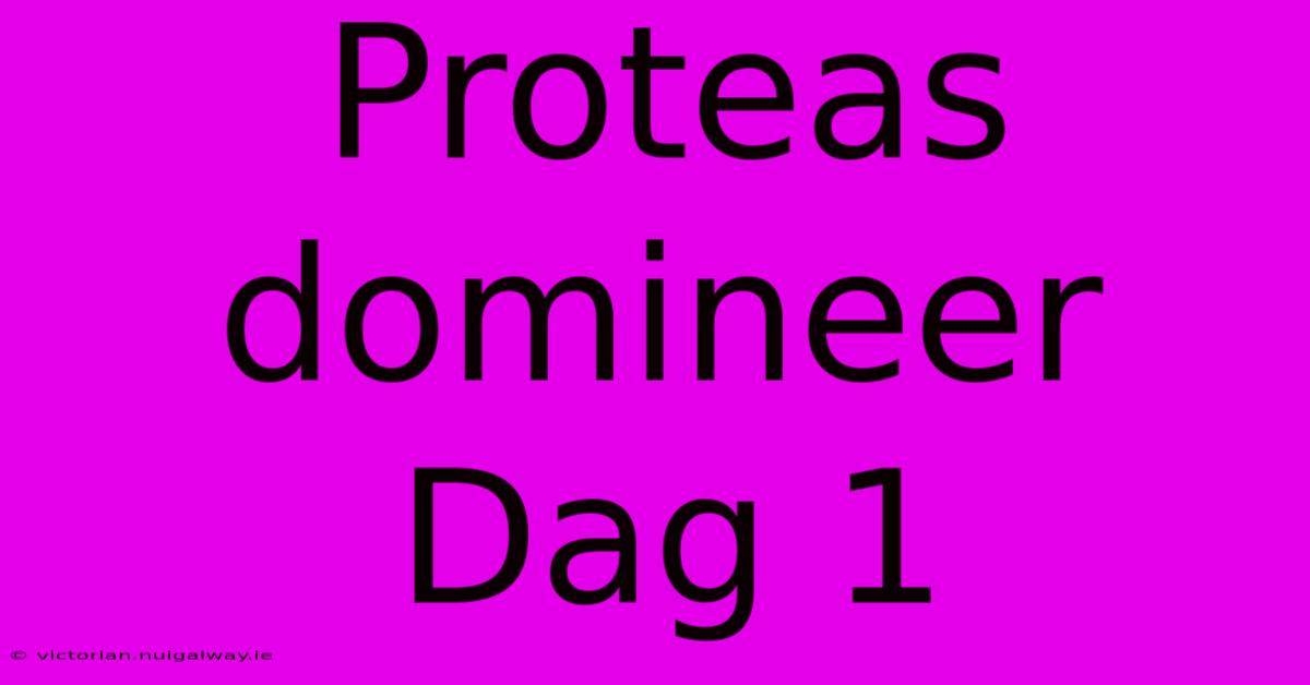 Proteas Domineer Dag 1