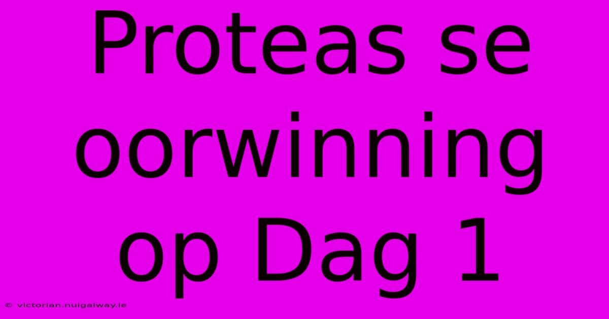 Proteas Se Oorwinning Op Dag 1