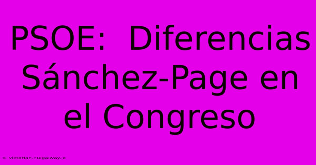 PSOE:  Diferencias Sánchez-Page En El Congreso