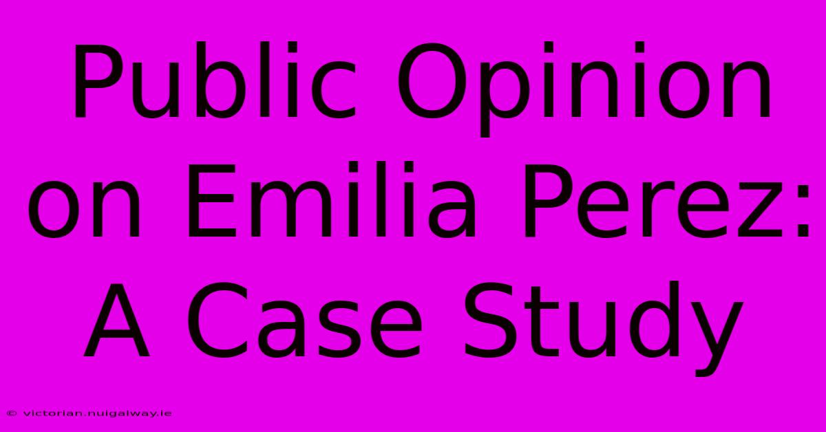 Public Opinion On Emilia Perez: A Case Study