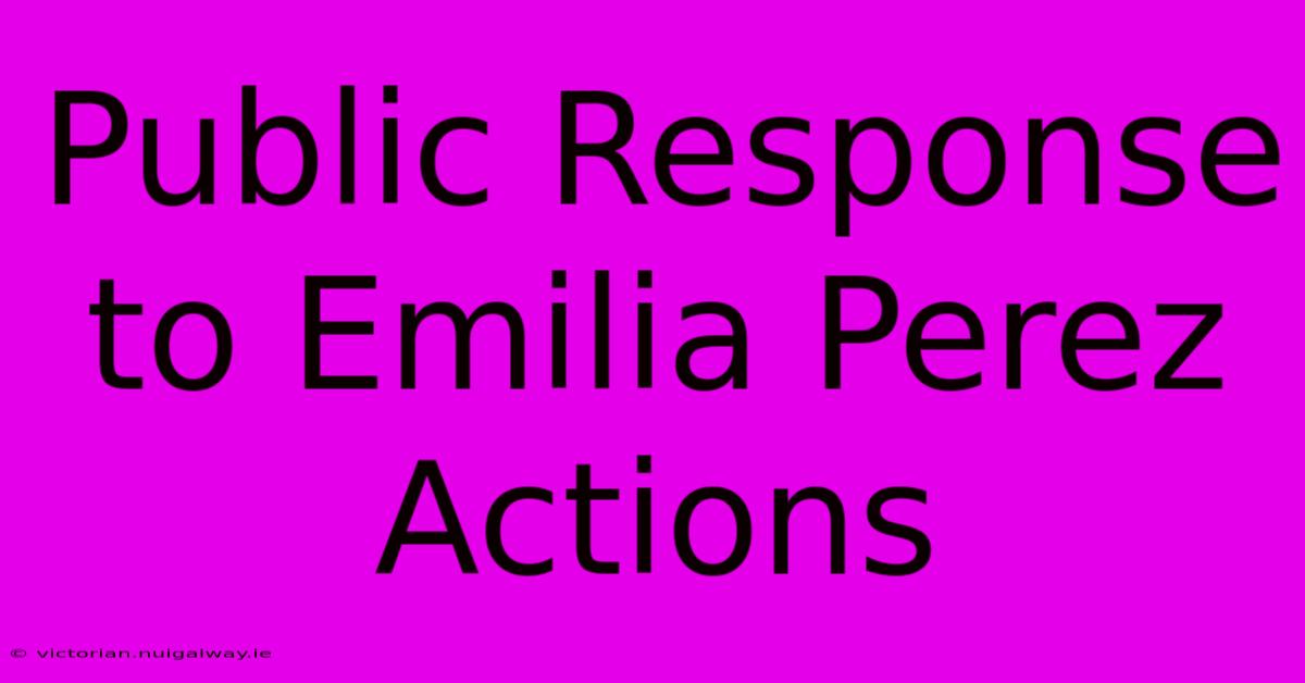 Public Response To Emilia Perez Actions