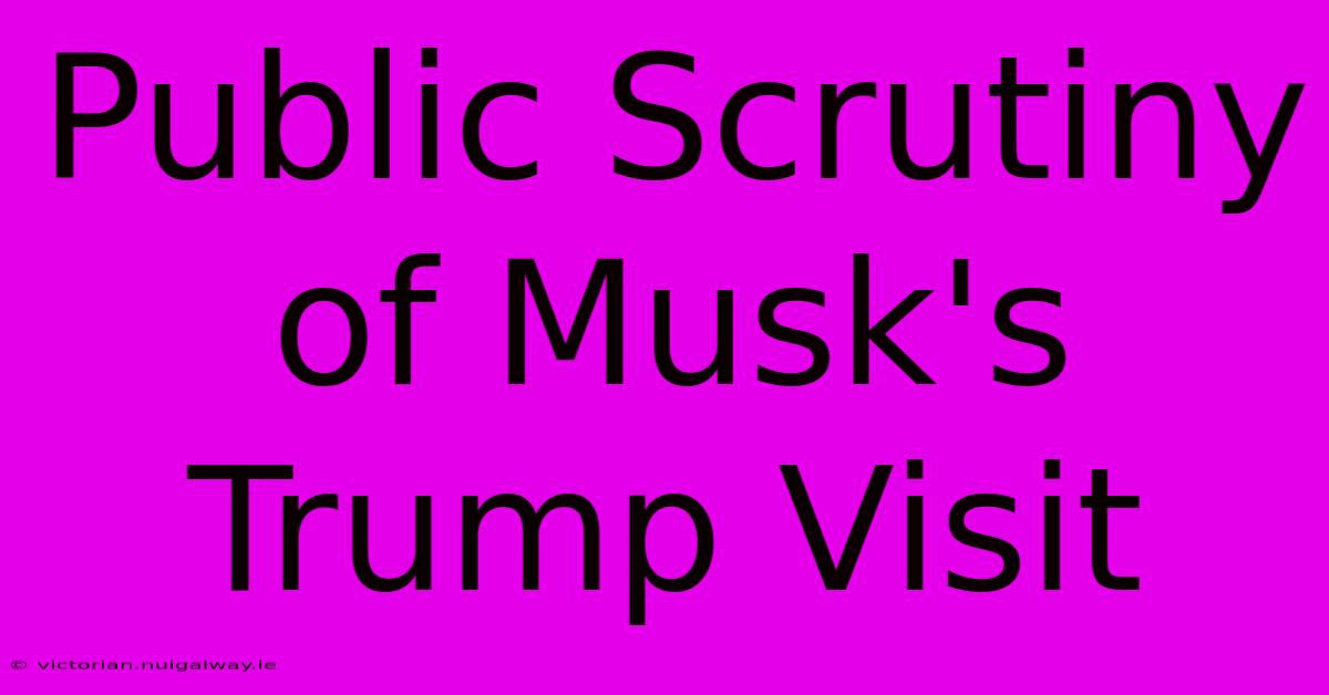 Public Scrutiny Of Musk's Trump Visit