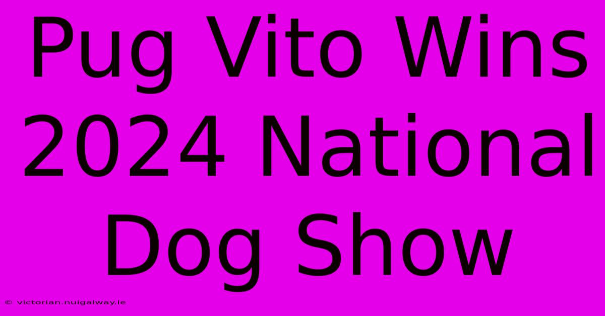 Pug Vito Wins 2024 National Dog Show