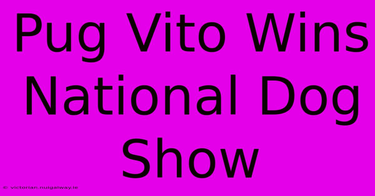 Pug Vito Wins National Dog Show