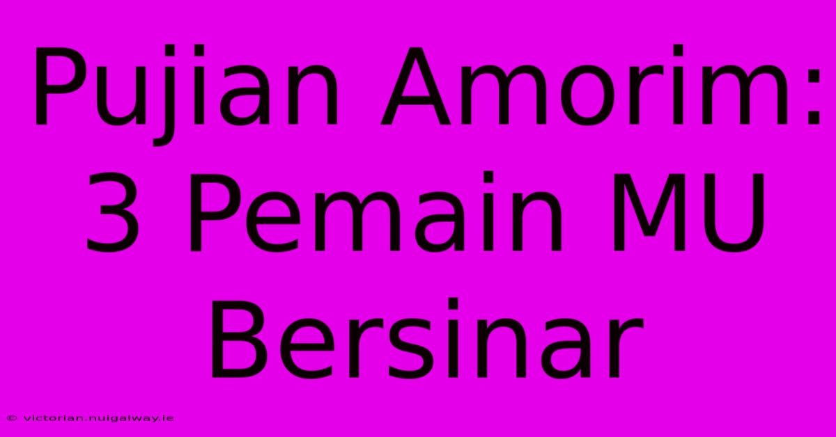 Pujian Amorim: 3 Pemain MU Bersinar