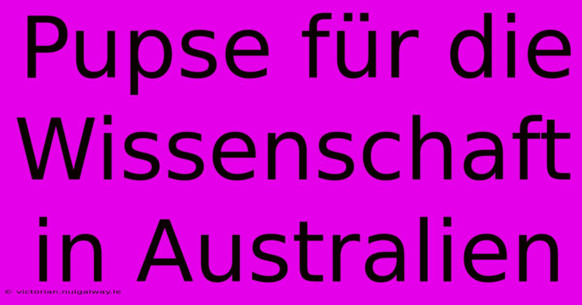 Pupse Für Die Wissenschaft In Australien