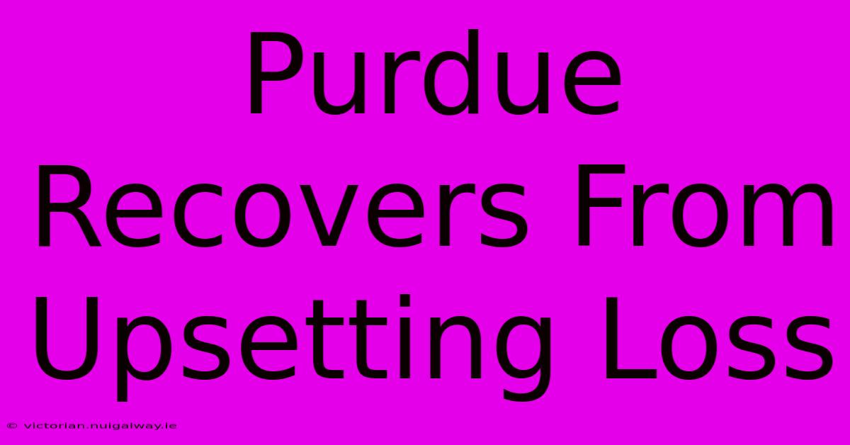 Purdue Recovers From Upsetting Loss