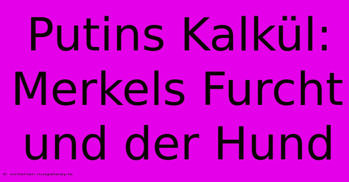 Putins Kalkül: Merkels Furcht Und Der Hund