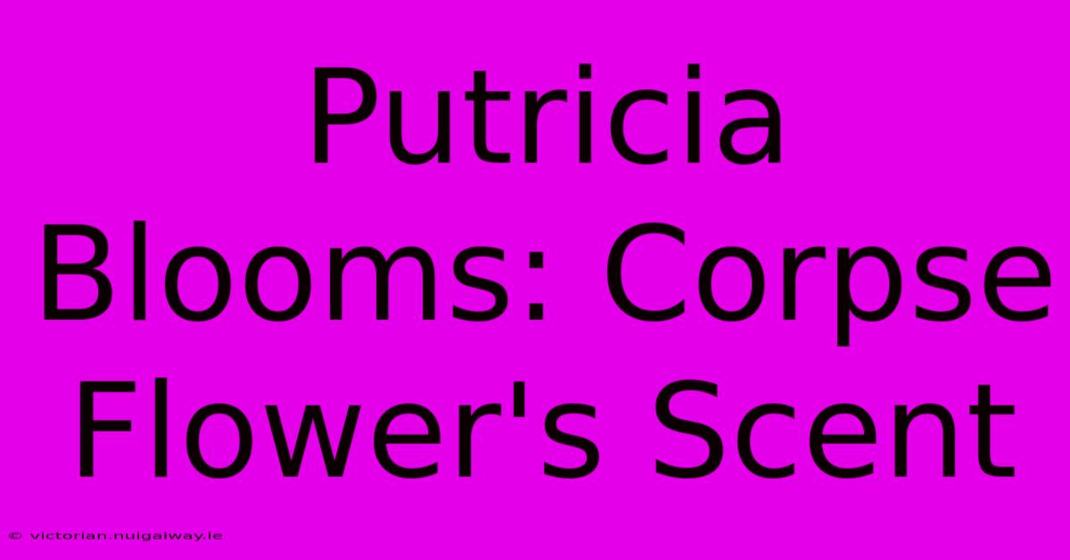 Putricia Blooms: Corpse Flower's Scent