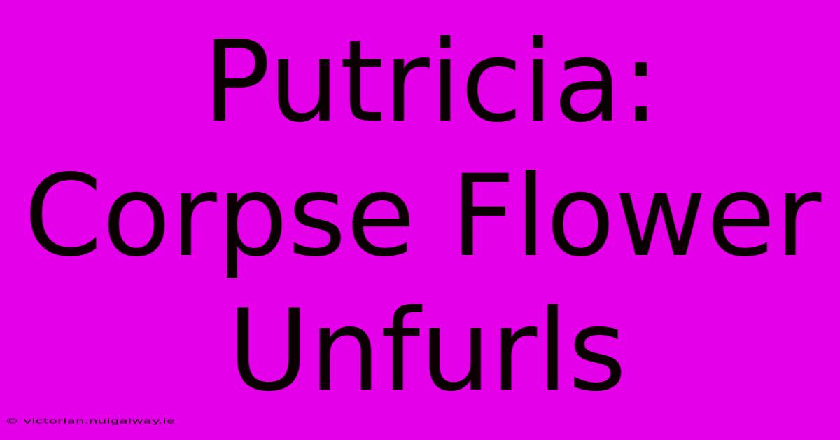 Putricia: Corpse Flower Unfurls