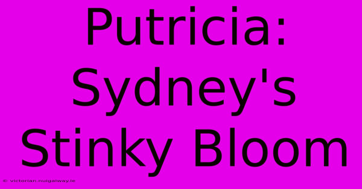 Putricia: Sydney's Stinky Bloom