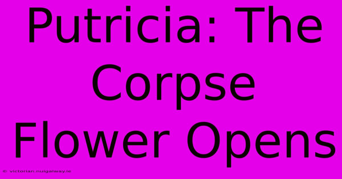 Putricia: The Corpse Flower Opens