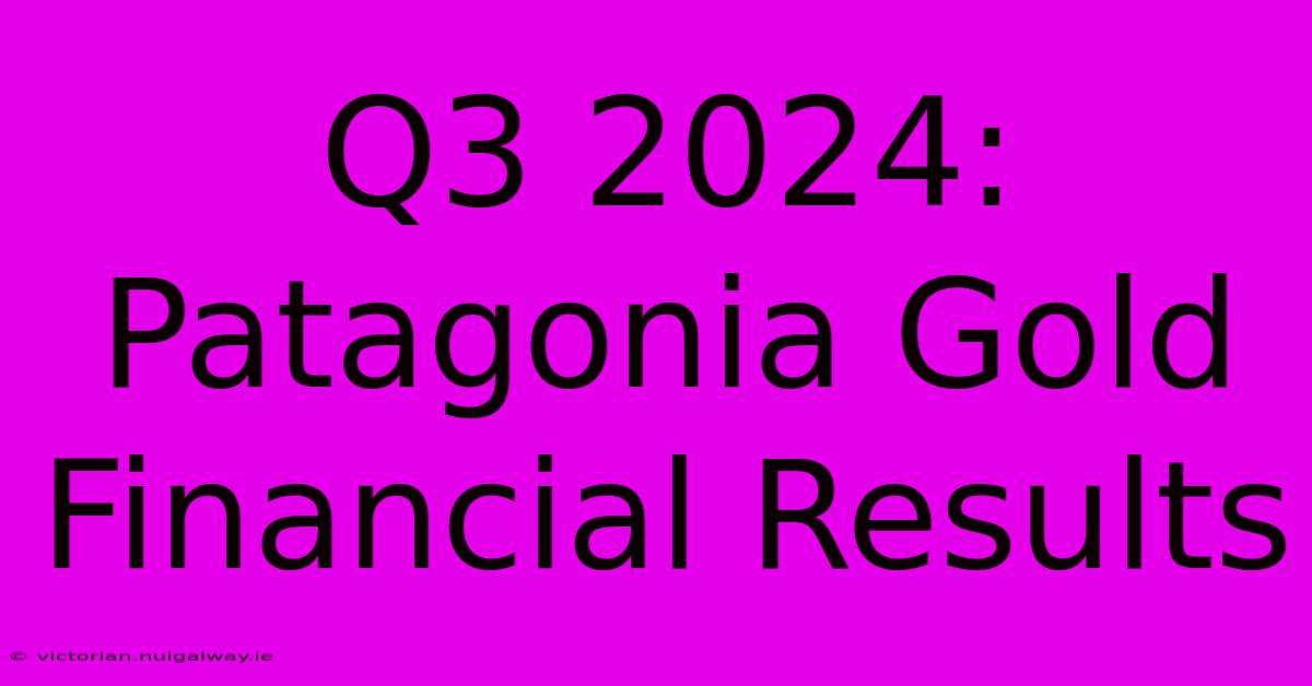 Q3 2024: Patagonia Gold Financial Results