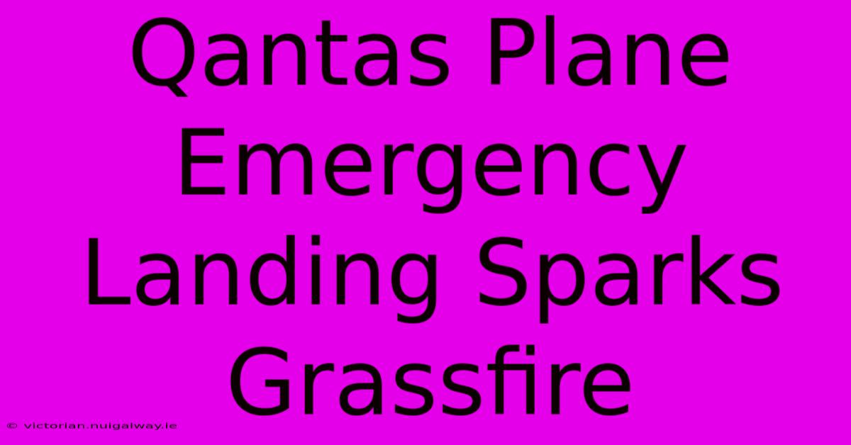 Qantas Plane Emergency Landing Sparks Grassfire