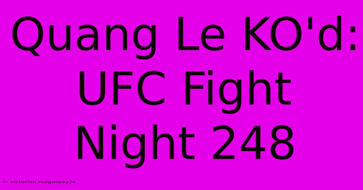 Quang Le KO'd: UFC Fight Night 248