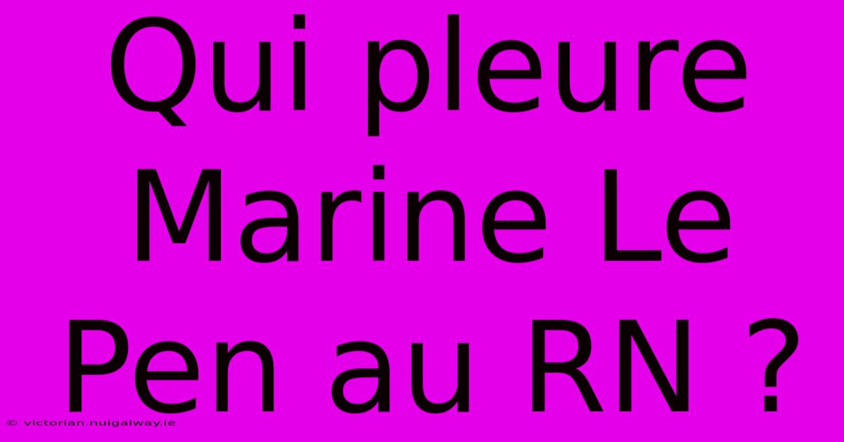 Qui Pleure Marine Le Pen Au RN ?