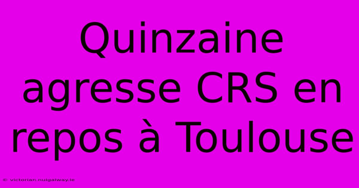 Quinzaine Agresse CRS En Repos À Toulouse 