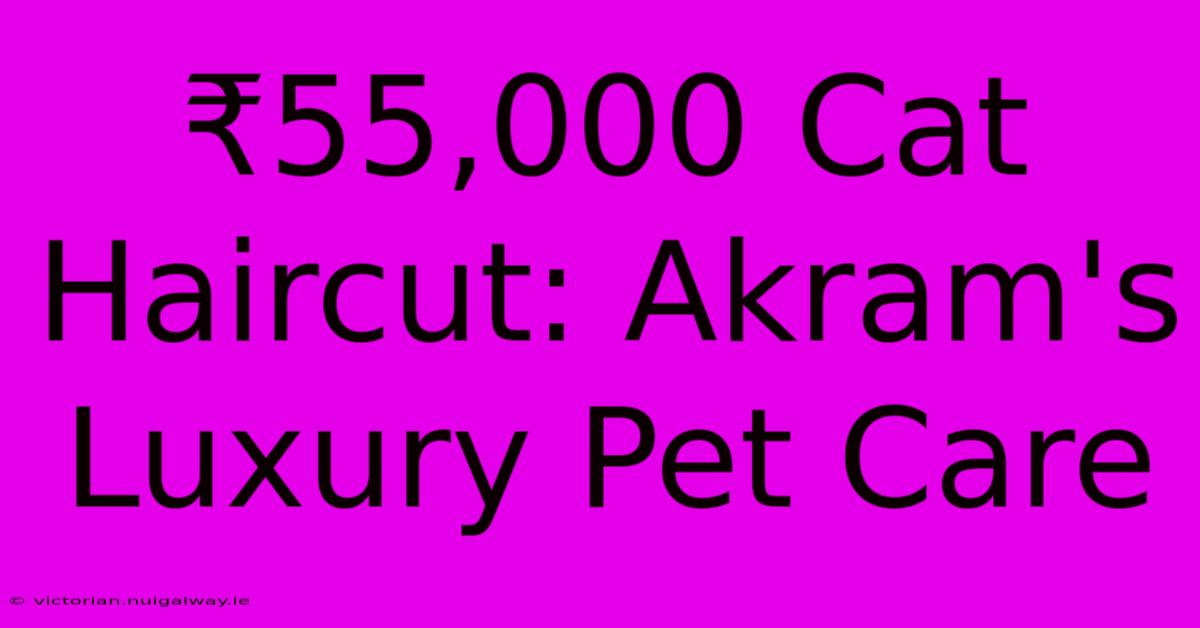 ₹55,000 Cat Haircut: Akram's Luxury Pet Care