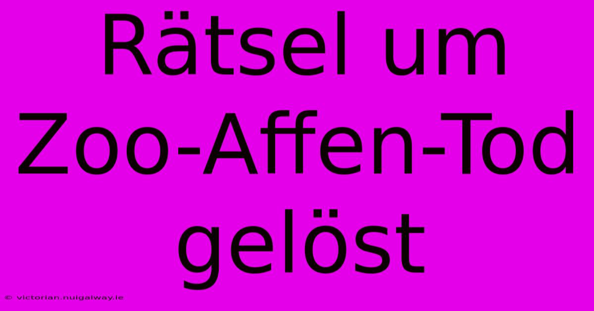 Rätsel Um Zoo-Affen-Tod Gelöst