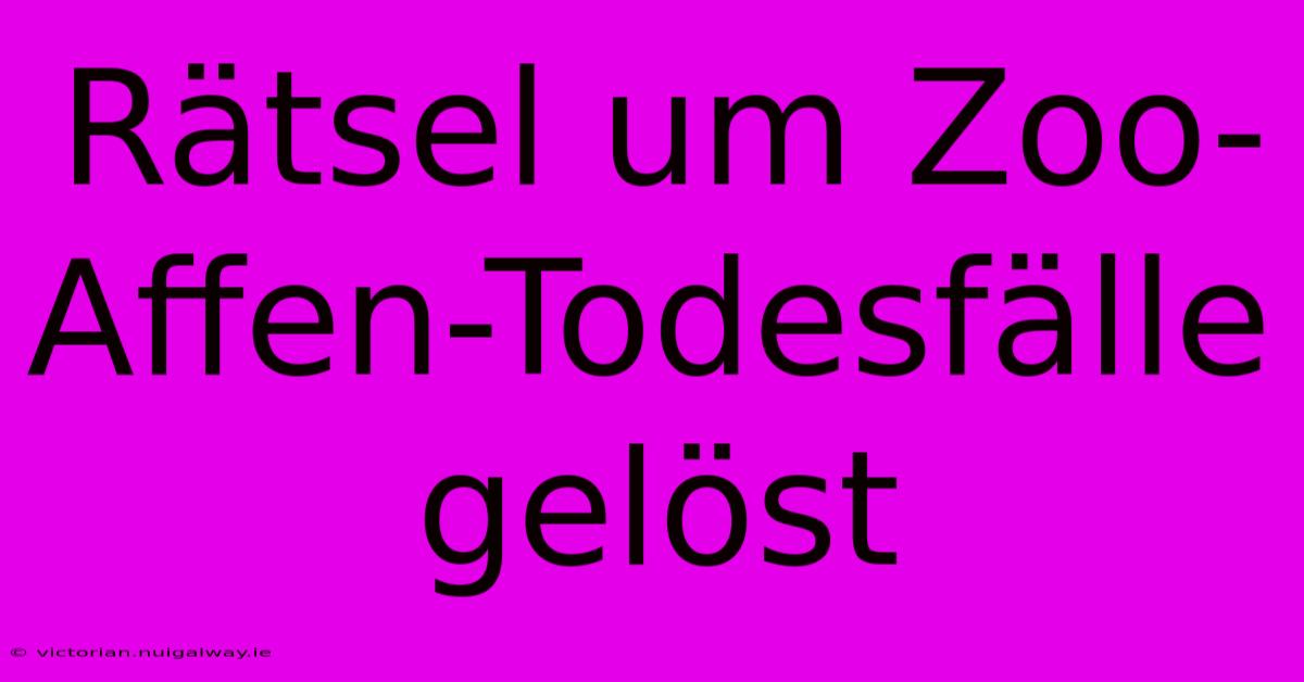 Rätsel Um Zoo-Affen-Todesfälle Gelöst 