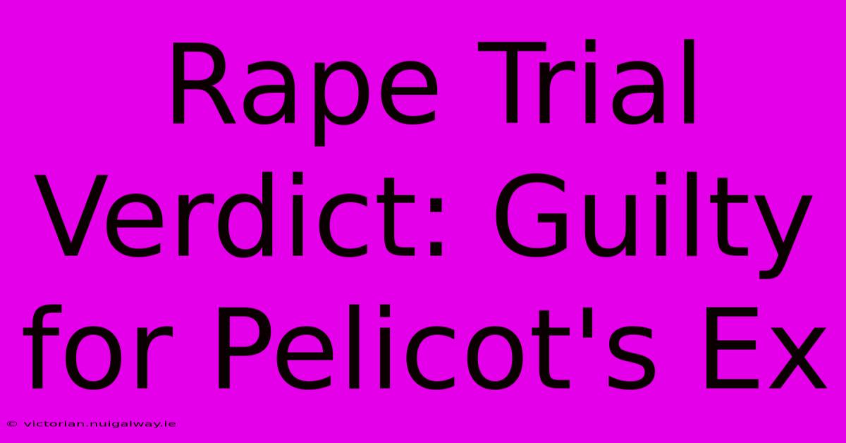 Rape Trial Verdict: Guilty For Pelicot's Ex