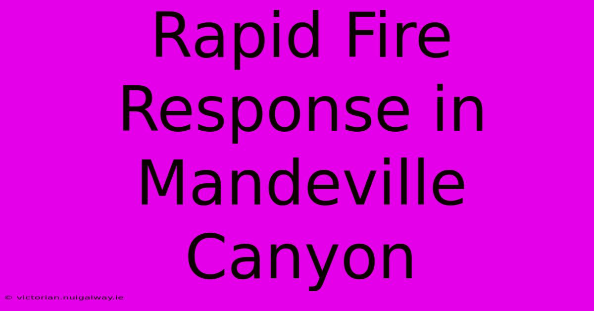 Rapid Fire Response In Mandeville Canyon