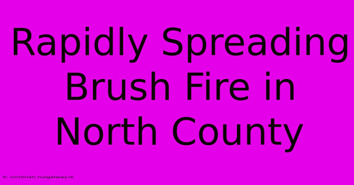 Rapidly Spreading Brush Fire In North County