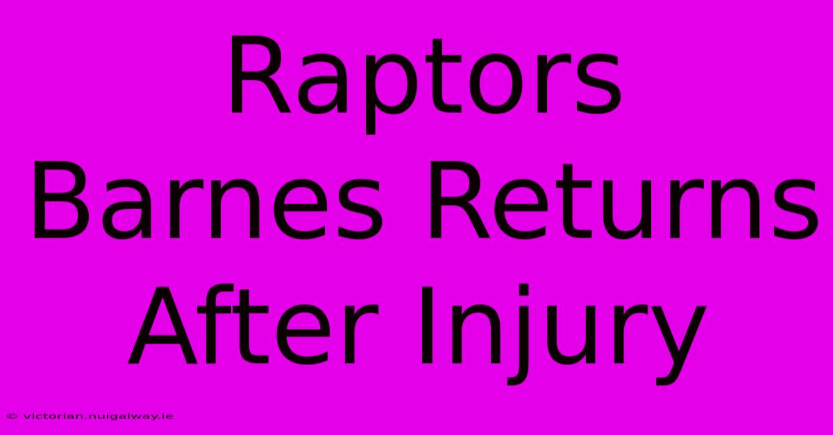 Raptors Barnes Returns After Injury