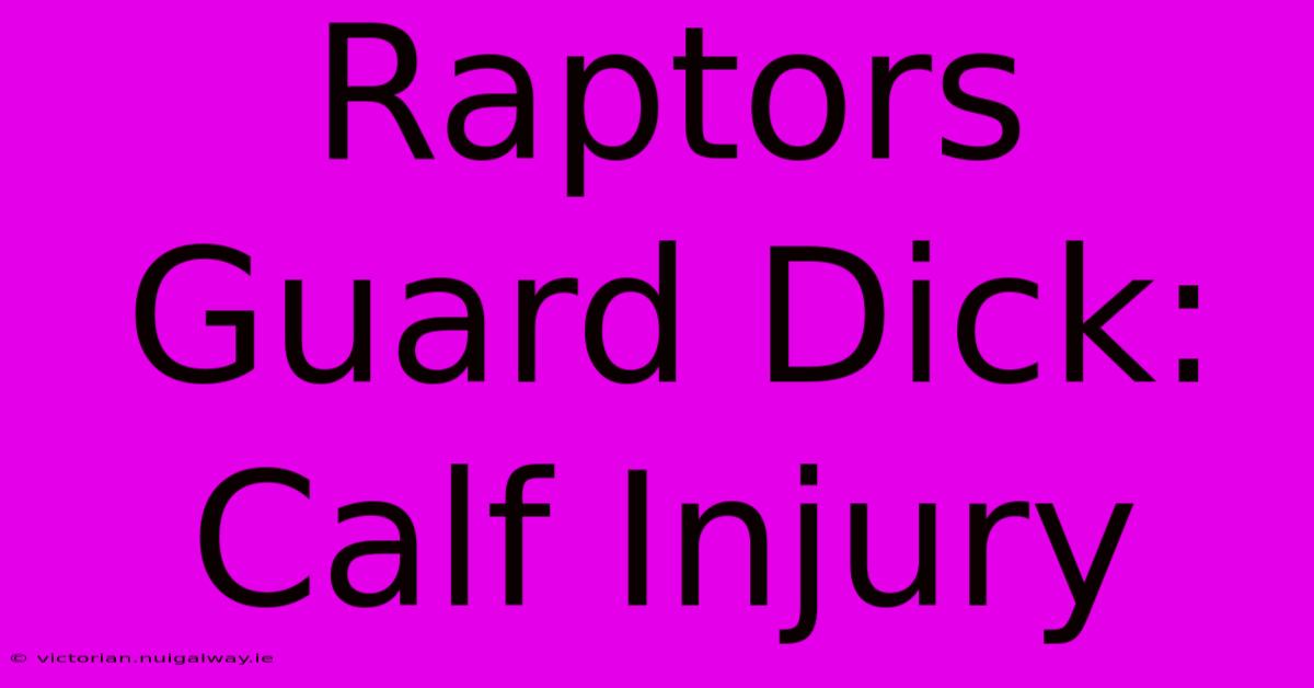 Raptors Guard Dick: Calf Injury