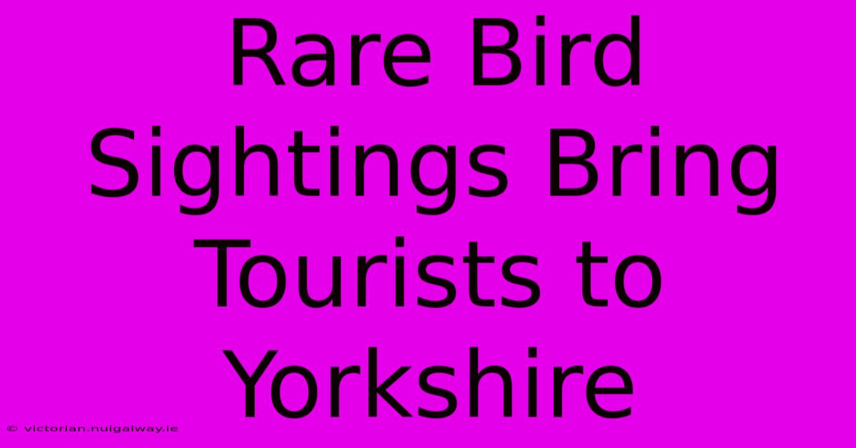 Rare Bird Sightings Bring Tourists To Yorkshire