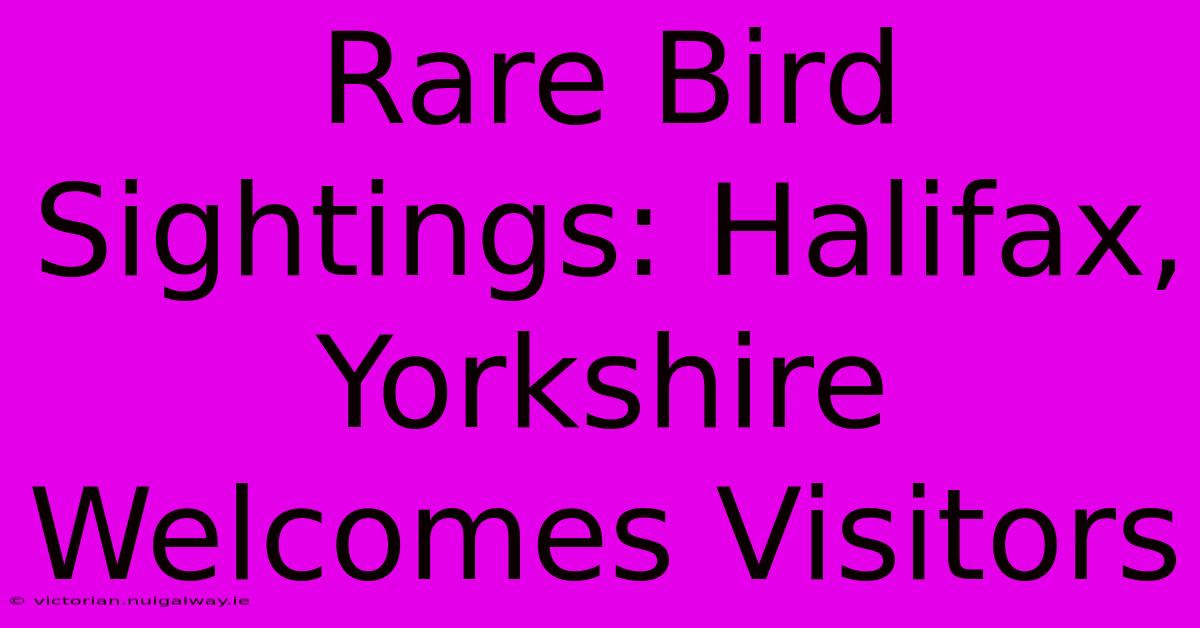 Rare Bird Sightings: Halifax, Yorkshire Welcomes Visitors 