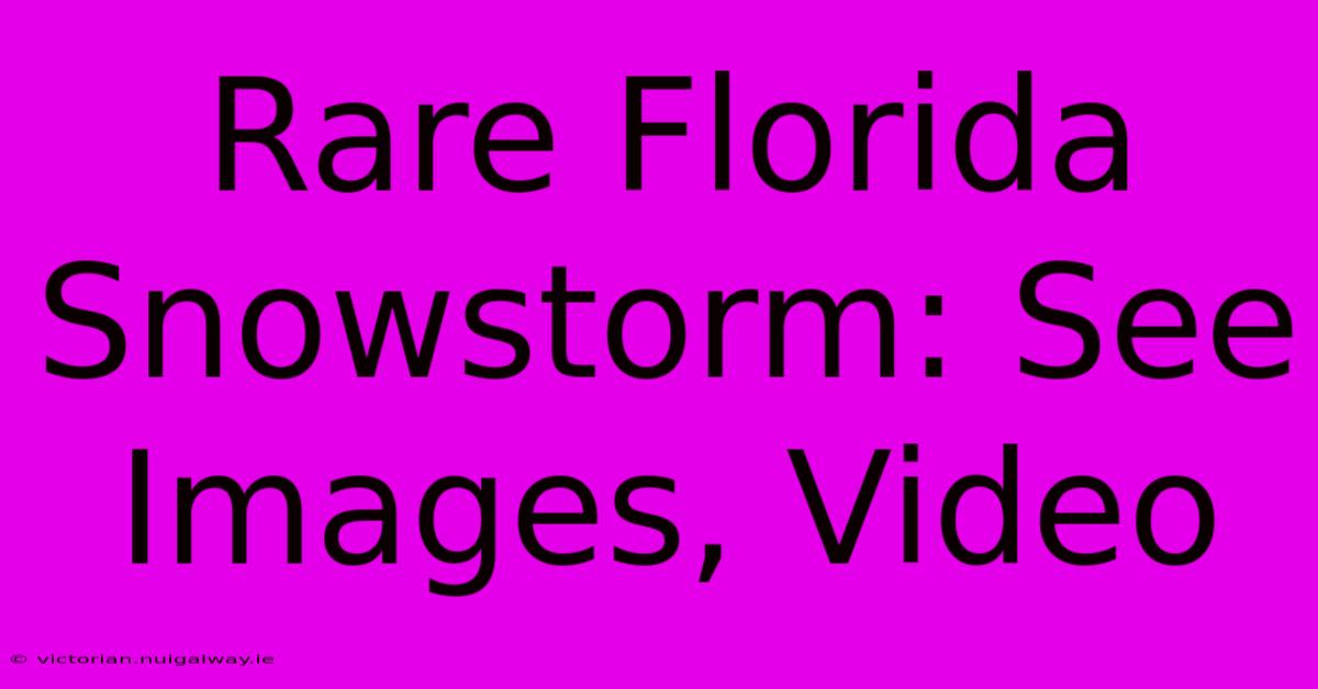 Rare Florida Snowstorm: See Images, Video