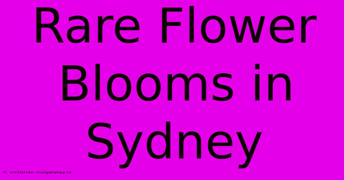 Rare Flower Blooms In Sydney