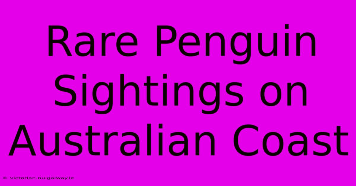 Rare Penguin Sightings On Australian Coast