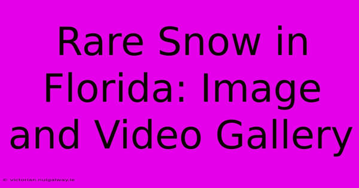 Rare Snow In Florida: Image And Video Gallery