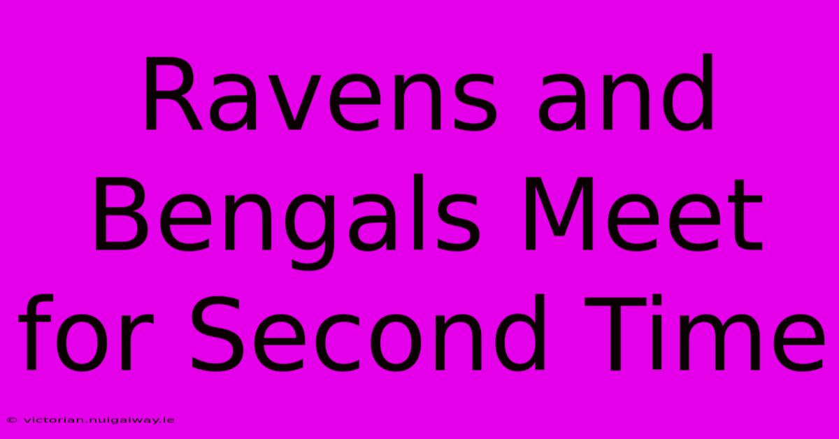 Ravens And Bengals Meet For Second Time 