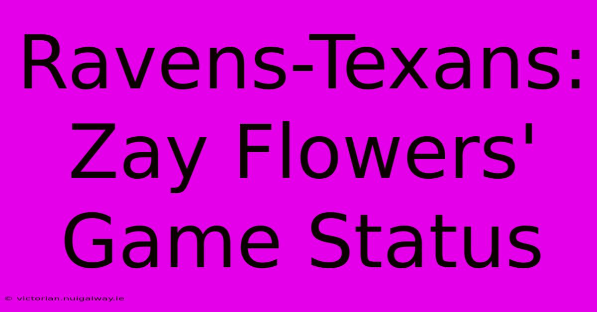 Ravens-Texans: Zay Flowers' Game Status