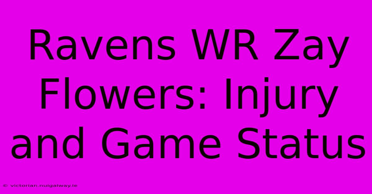 Ravens WR Zay Flowers: Injury And Game Status