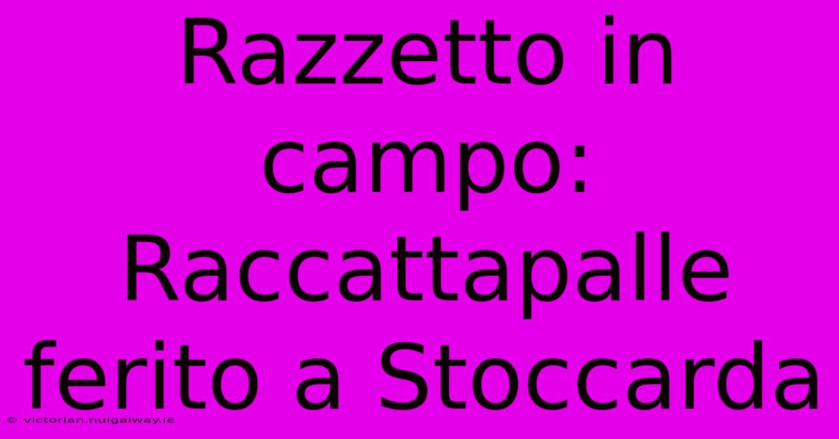 Razzetto In Campo: Raccattapalle Ferito A Stoccarda